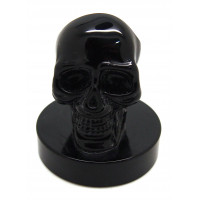 Skull Pen Holder